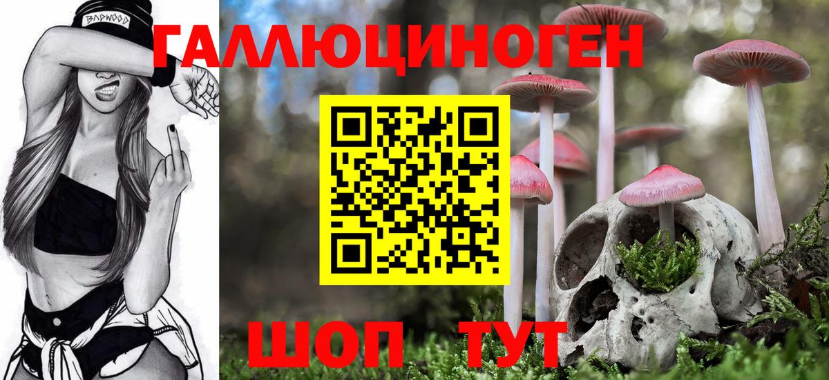 Псилоцибиновые грибы GOLDEN TEACHER  Галлюциногенные грибы ЛСД  Вход с VPN  Краснокаменск 