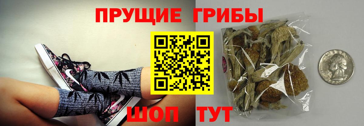 Псилоцибиновые грибы мицелий Краснокаменск
